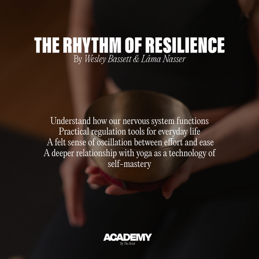 The Rhythm of resilience by Wesley Bassett and Lâma Nasser